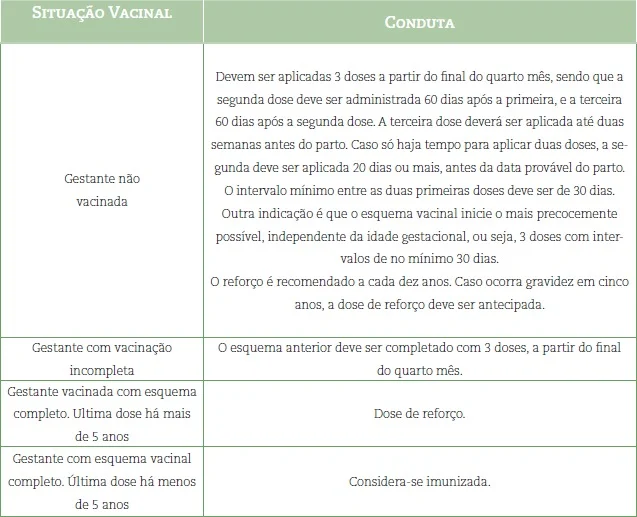 Conteúdo bruto